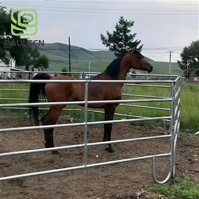 Ogrodzenie wybiegu dla koni